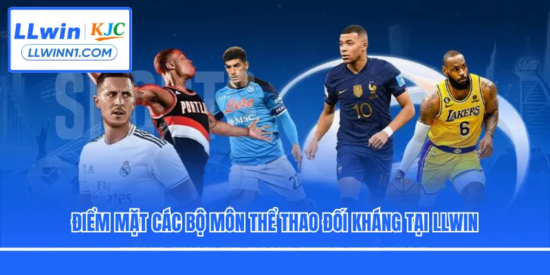 Điểm mặt các bộ môn thể thao đối kháng tại LLwin