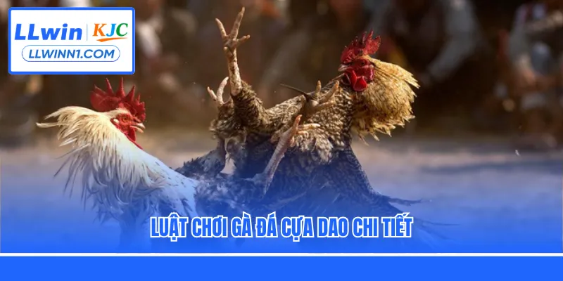 Luật chơi gà đá cựa dao chi tiết