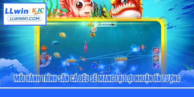 Mỗi hành trình săn cá đều sẽ mang lại lợi nhuận ấn tượng