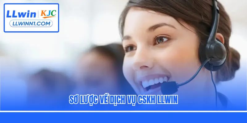 Sơ lược về dịch vụ CSKH LLwin